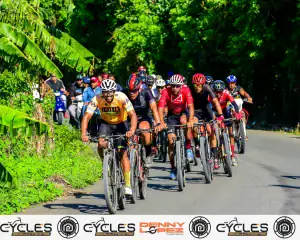 Discordia Special Edition